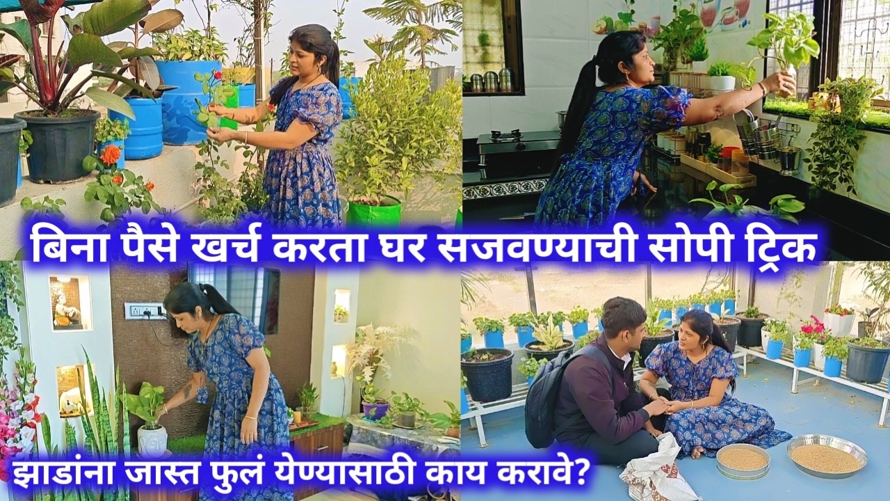 बिना पैसे खर्च करता घर सजवण्याची सोपी ट्रिक/झाडांना जास्त फुले येण्यासाठी काय करावे?