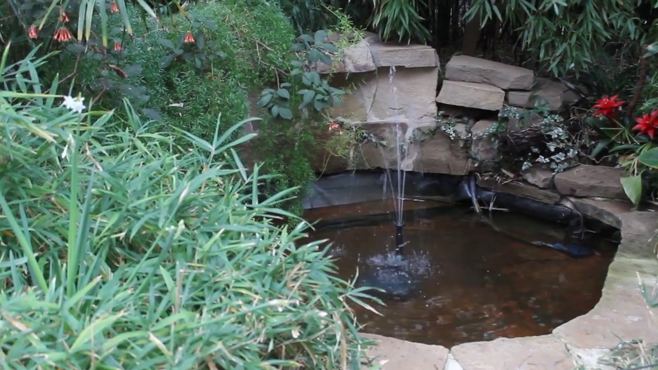 Sheffield Winter Gardens Audio Visual