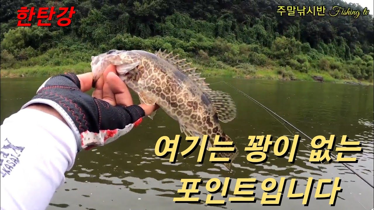 한탄강~