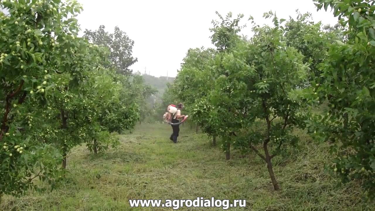 Ранцевый опрыскиватель Cifarelli M3A, Cifarelli M3PSA, Cifarelli M3PSRA
