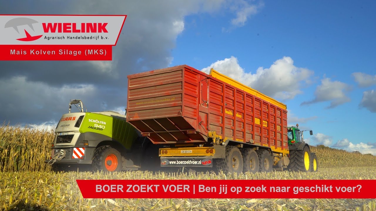MKS (Ma&iuml;s Kolven Silage) | Wielink Agrarisch Handelsbedrijf B.V.