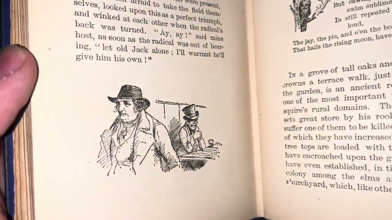 This Victorian book has stunning illustrations 