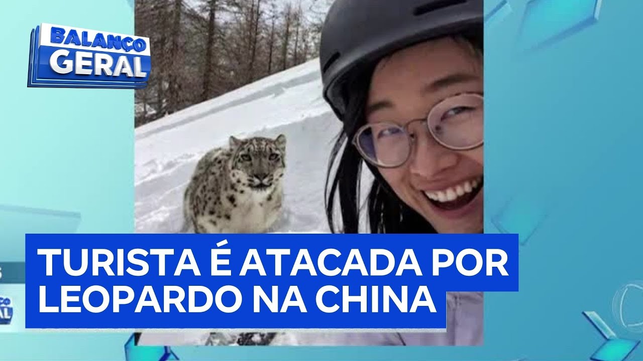 Turista é atacada por leopardo-das-neves após ignorar avisos de segurança na China