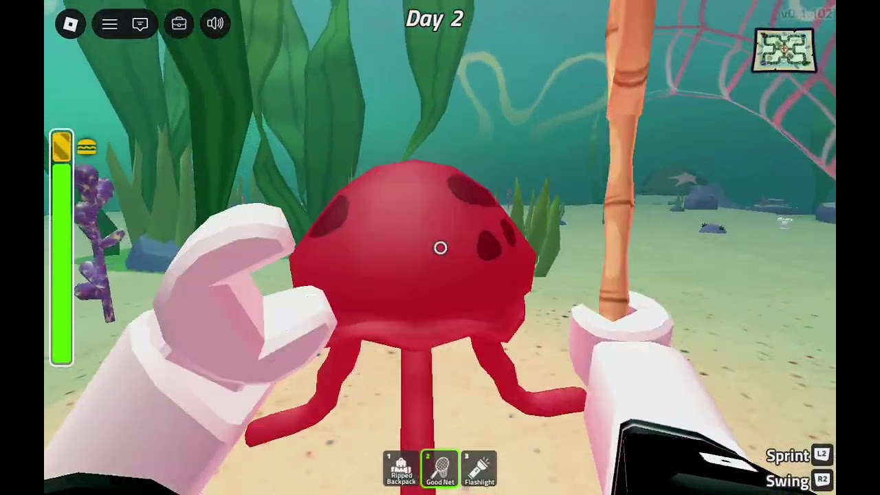 SpongeBob Kanciastoporty