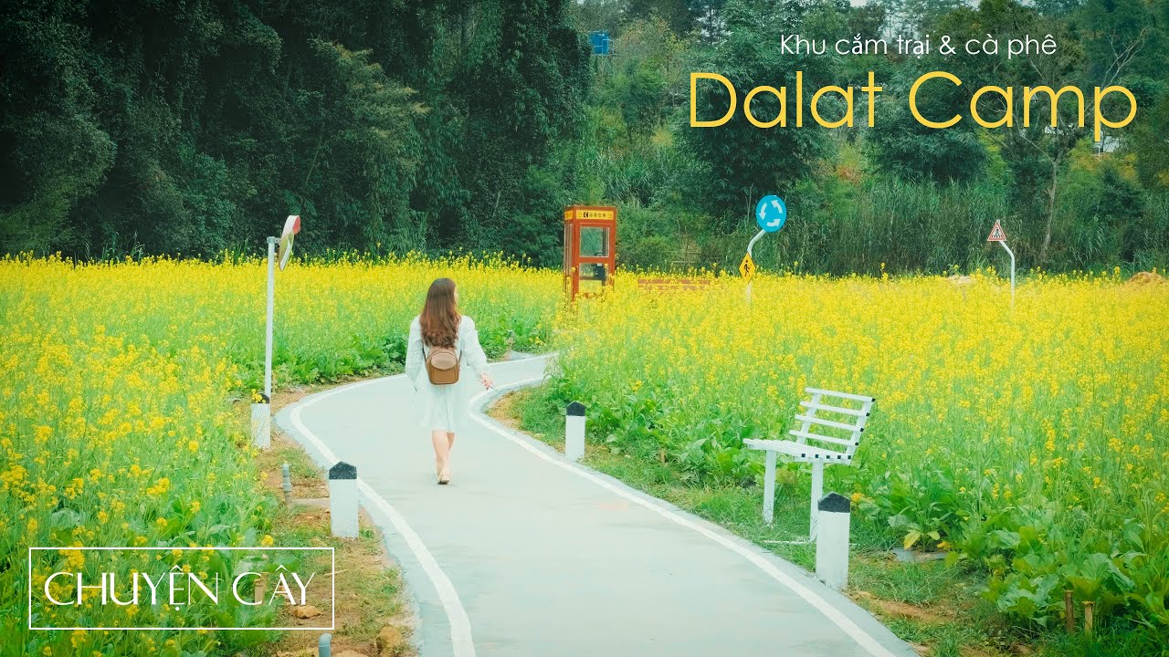 ĐÀ LẠT - Khu cắm trại & cafe Dalat Camp - CHUYỆN CÂY