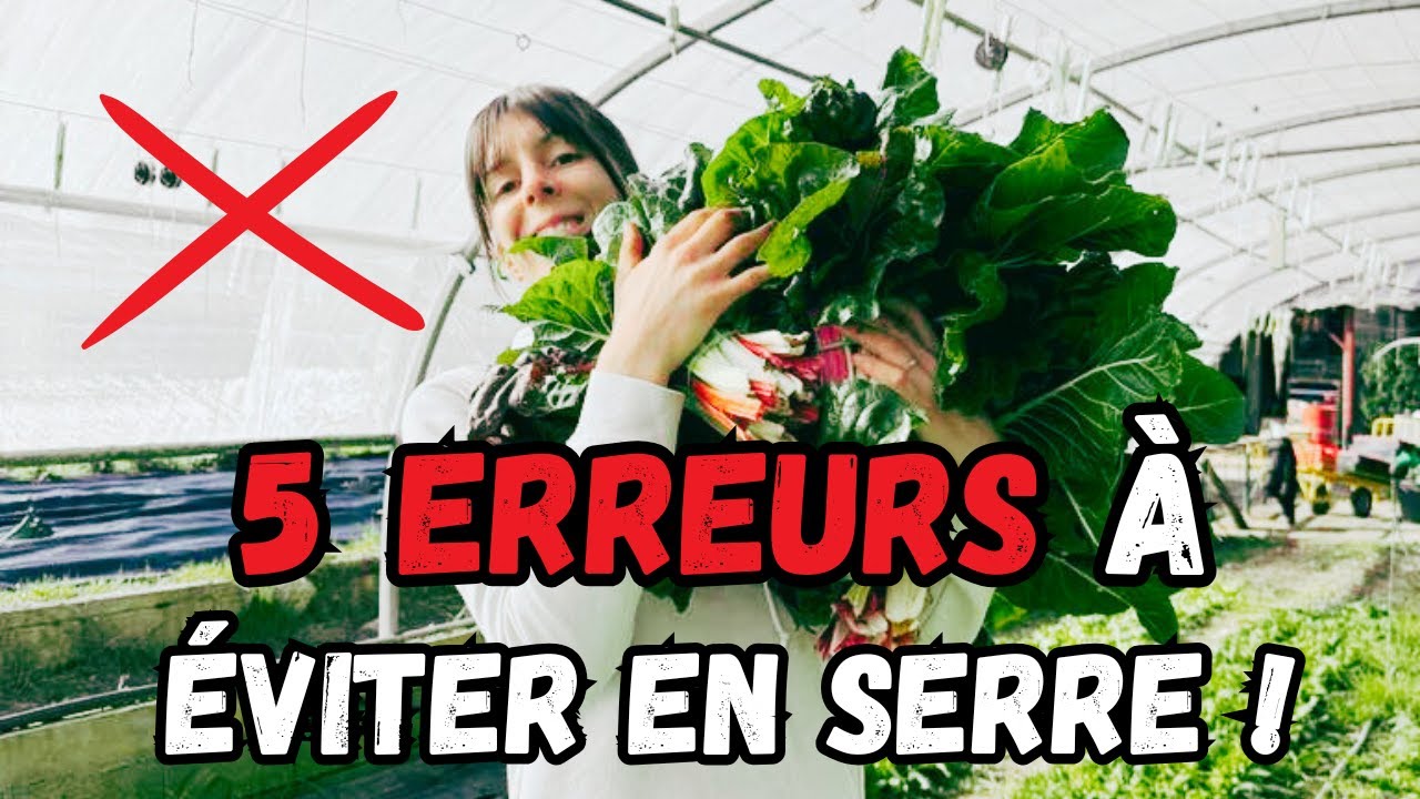 Les 5 erreurs &agrave; ne pas faire dans une serre