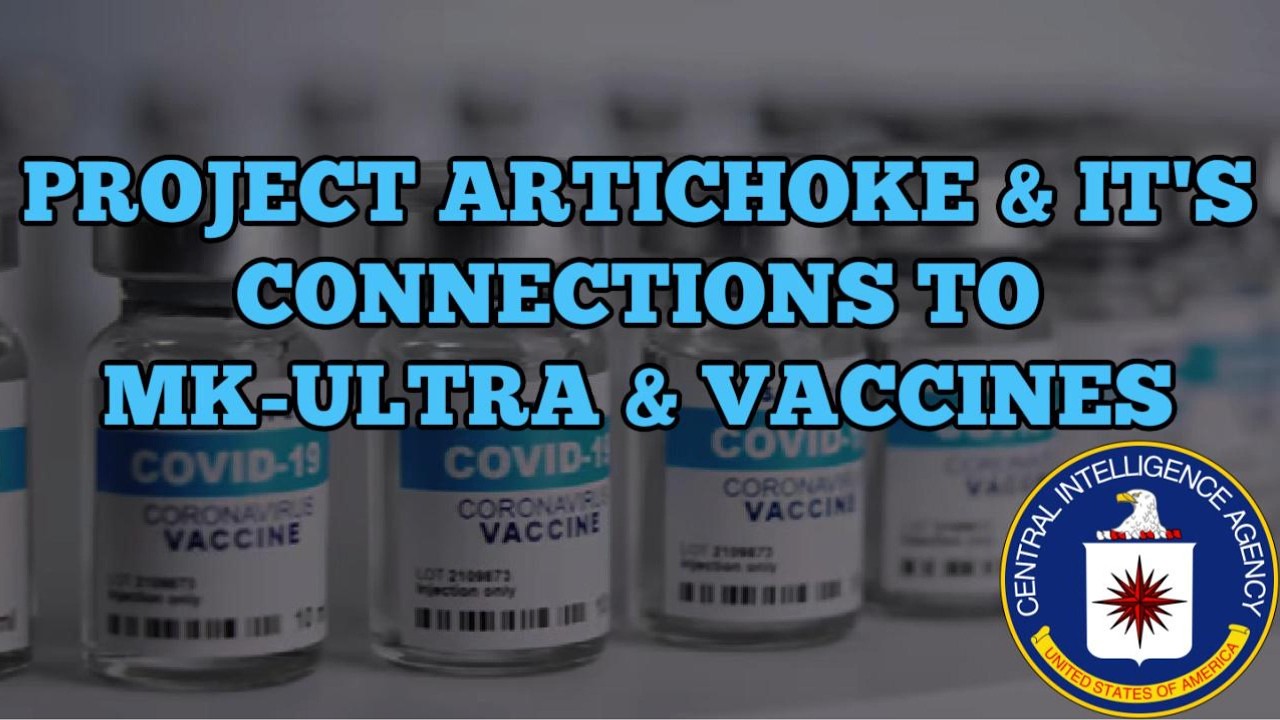 What is Project Artichoke?