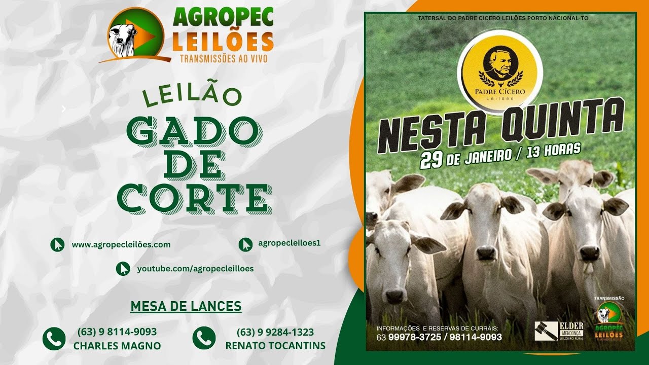 Agropecleiloes.com LEILÃO GADO DE CORTE | PADRE CÍCERO - PORTO NACIONAL-TO 29/01/2026.