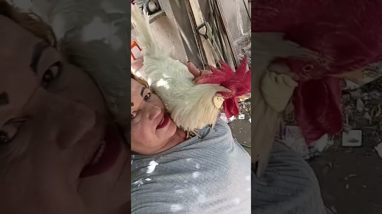 22 de dezembro de 2025