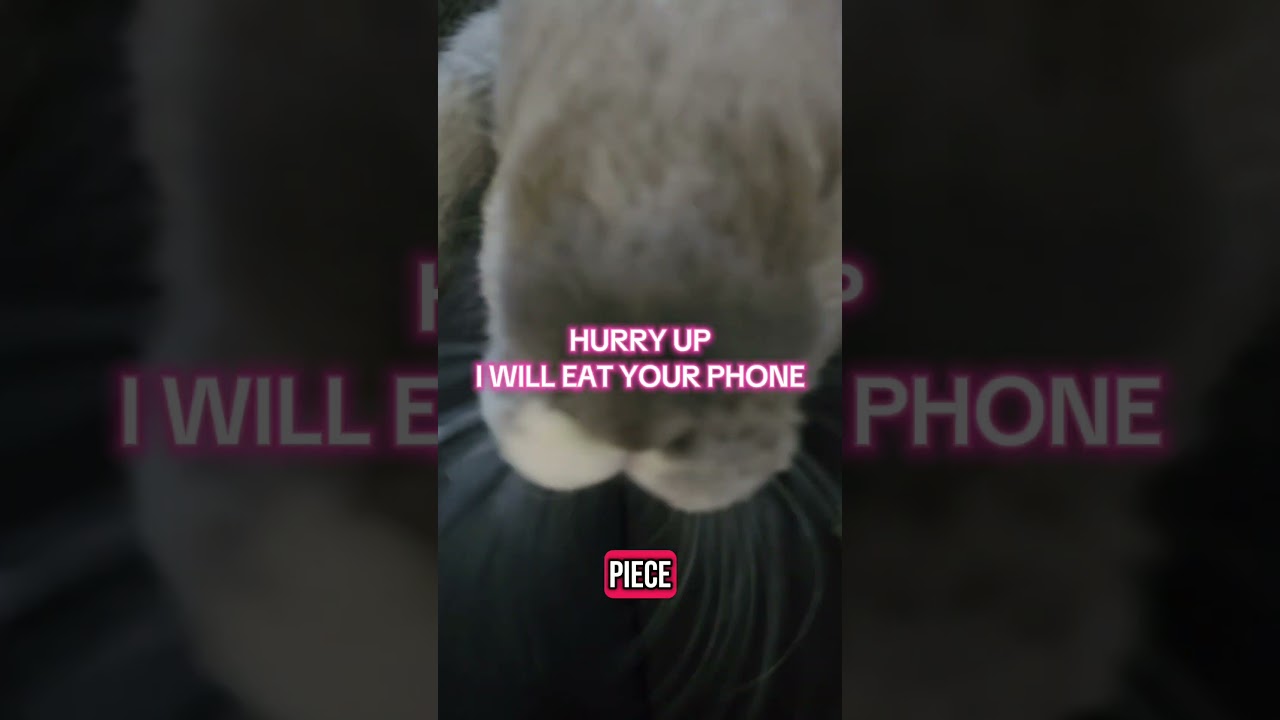 Morticia and Mr.Garak can't get enough banana 