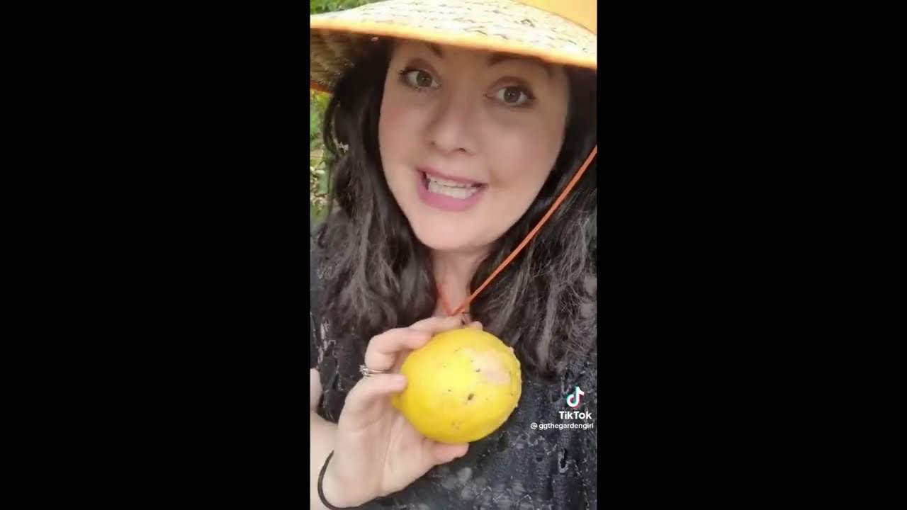 Gardening Harvest l TikTok Compilation 2