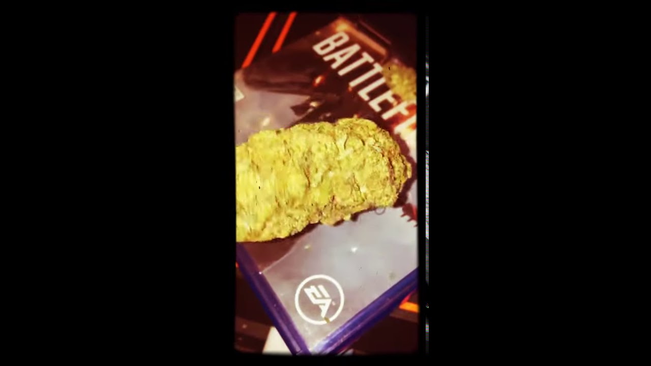 grand master kush