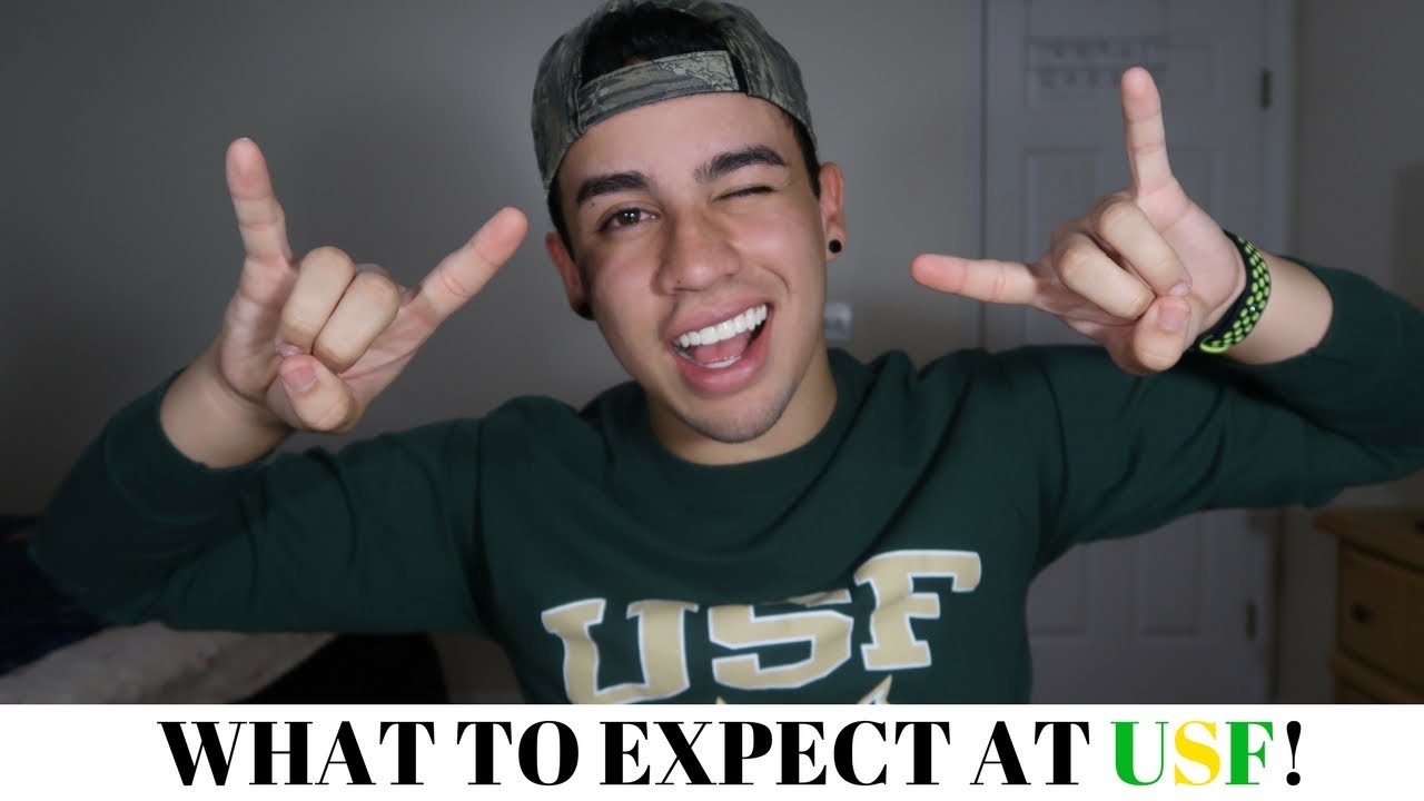 WHAT TO EXPECT AT USF / FIRST TIME ADVICE