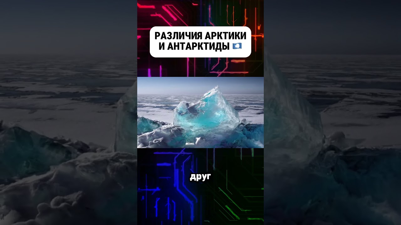 Чем арктика отличается от Антарктики #арктика #антарктика #северныйполюс #южныйполюс #история #факты