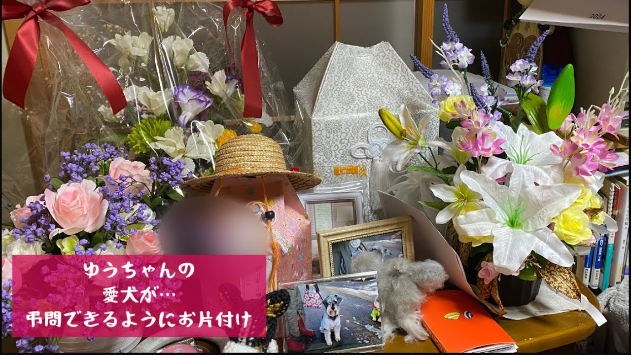 弔問してもらえるように仏間のお片付け　愛犬梅ちゃん・・・