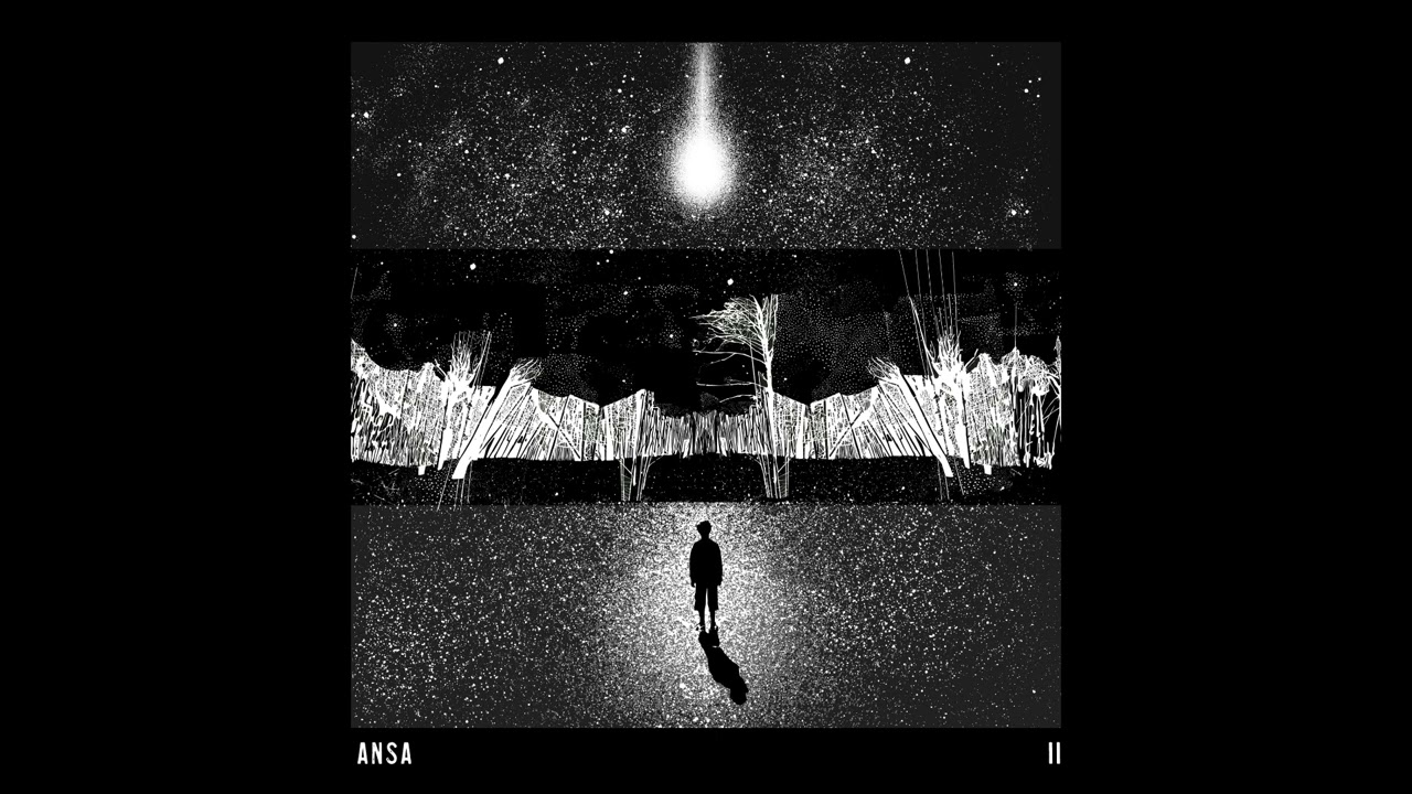 ANSA - Decyzje