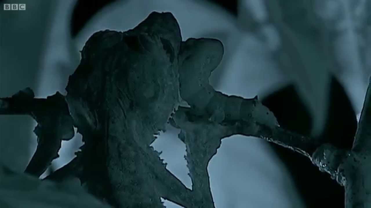 Leaf Geckos: Awesome Stealth Hunting | Madagascar w/ David Attenborough | BBC Earth