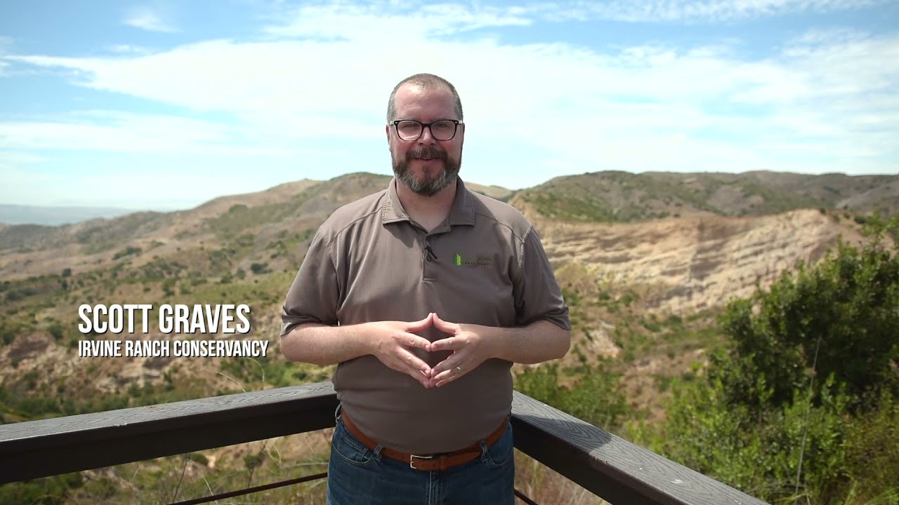 Landmark Spotlight: The Sinks