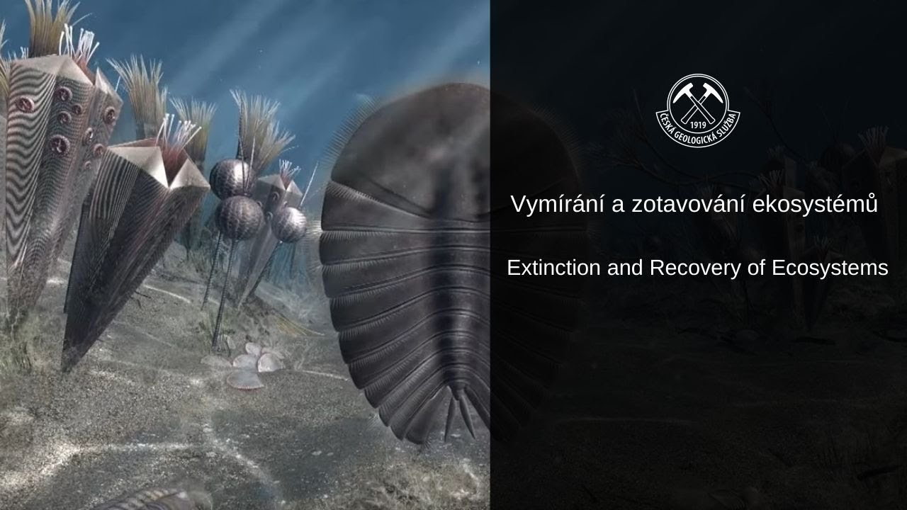 Vymírání a zotavování ekosystémů/ Extinction and Recovery of Ecosystems