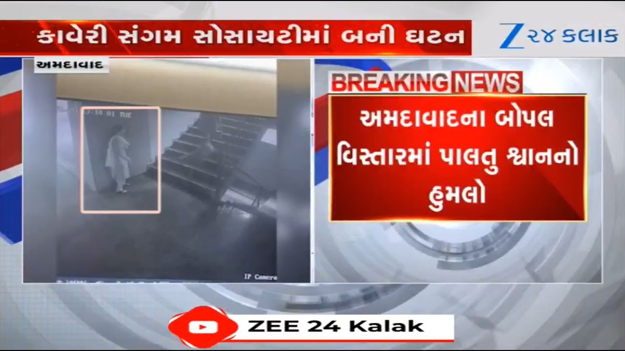 Dog bites woman at a residential building in Ahmedabad's Bopal area; incident caught on CCTV