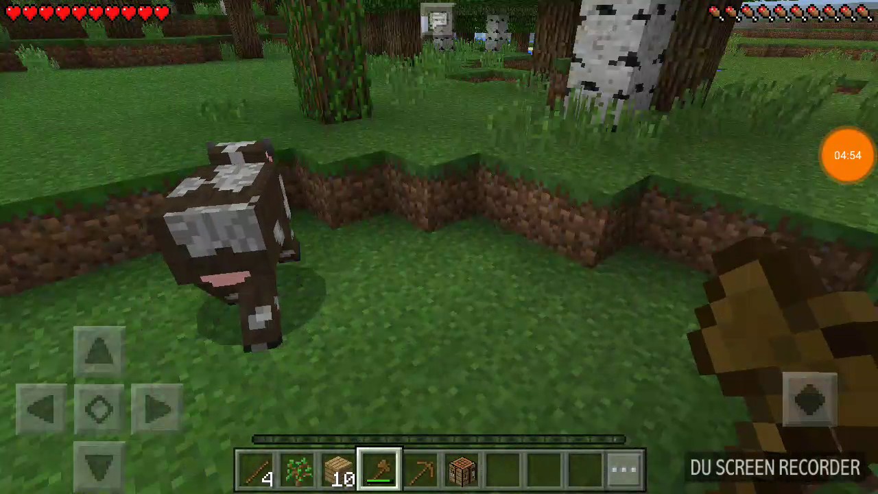 Minecraft survival modebit #1