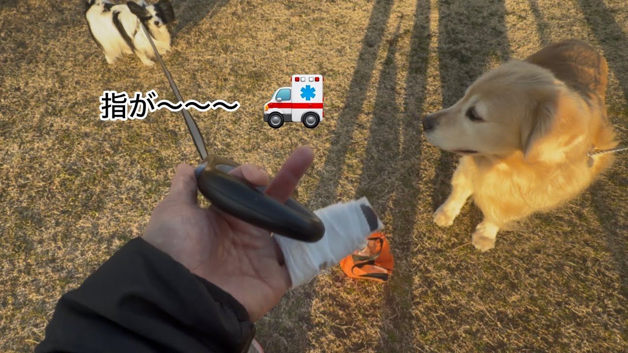 やってしまった〜〜〜😱