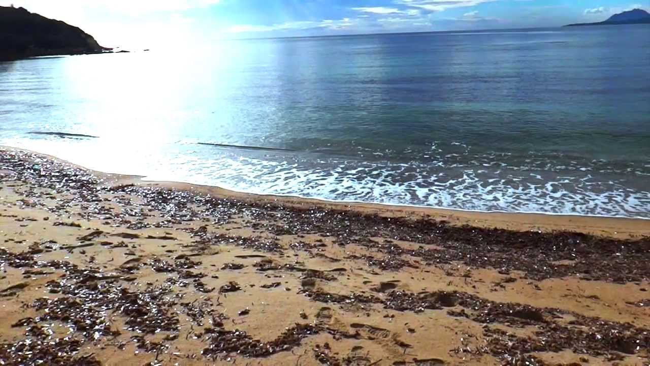 VAGLIO ROTANTE T4 separazione posidonia dalla sabbia