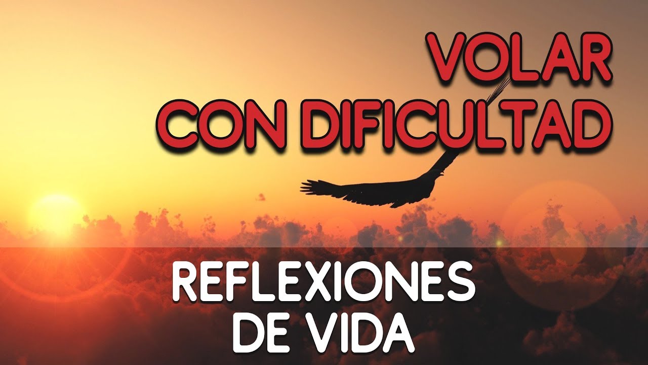 REFLEXIONES DE VIDA PARA SER MEJOR, VOLAR CON DIFICULTAD superación personal motivación depresion