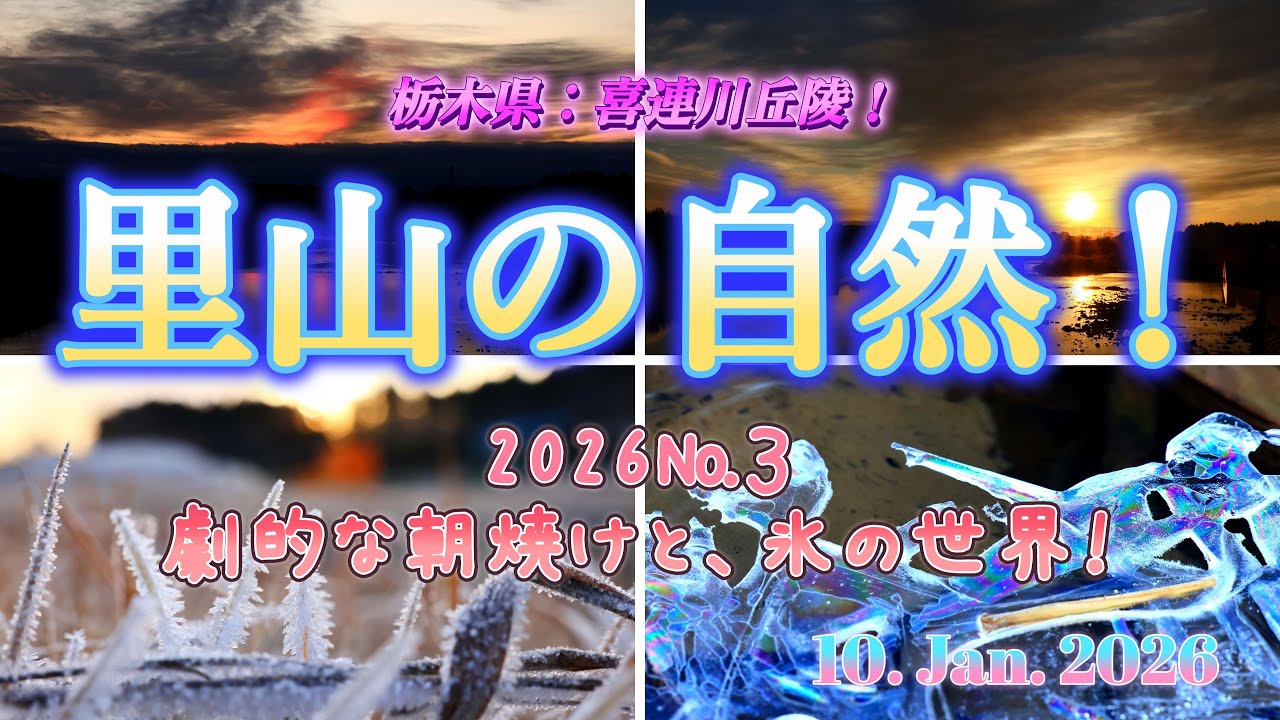 早朝からの里山散歩：2026 01 10