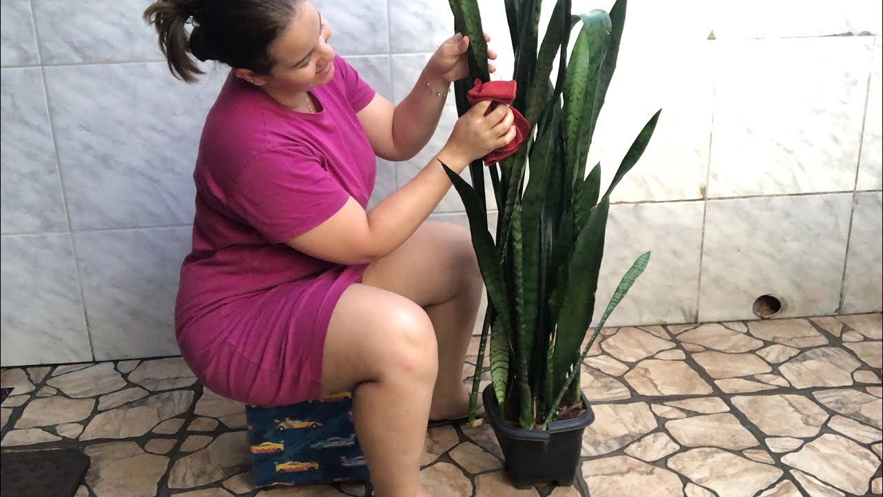 ANTES E DEPOIS LIMPEZA E PODA QUE TRANSFORMAM 