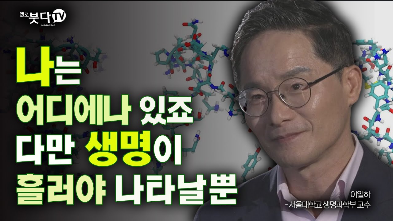 나는 어디에나 있죠 다만 생명이 흘러야 나타날뿐 | 생명 생명체 생물 존재 과학 영혼 우주 인간 사람 식물 동물 | 통하는 불교 시즌1 7회 이일하(서울대학교 생명과학부 교수)