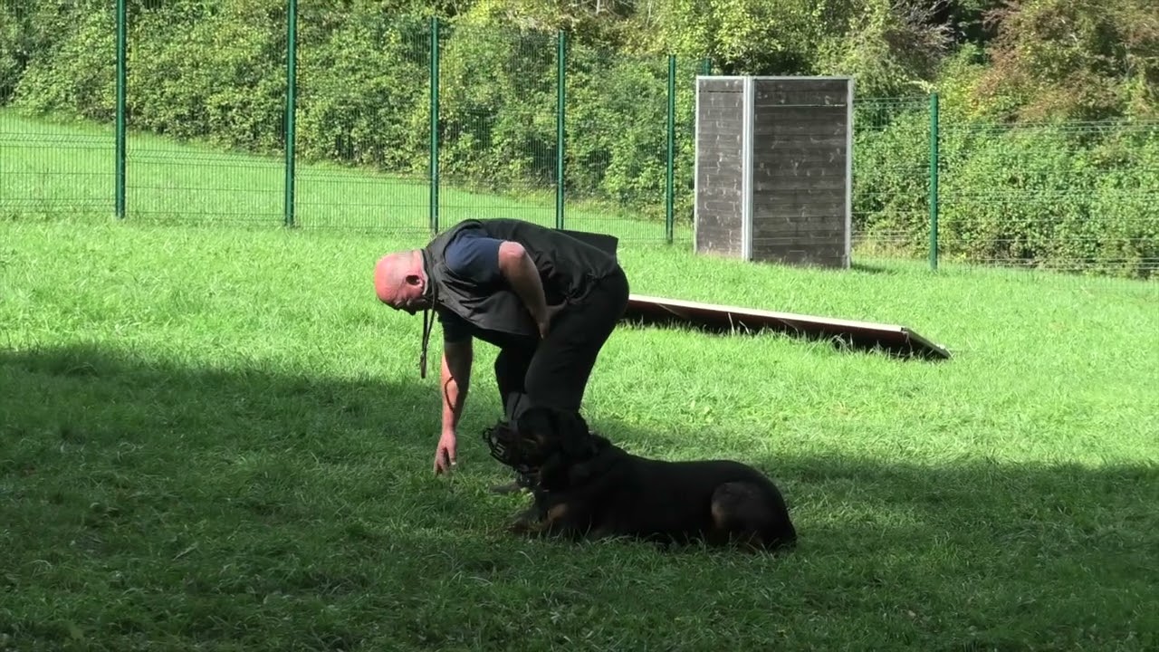 Centre Hervé Pupier - Formation Educateur canin