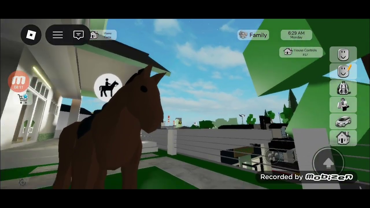 AM încercat sa fac rolplay!!!🐴 