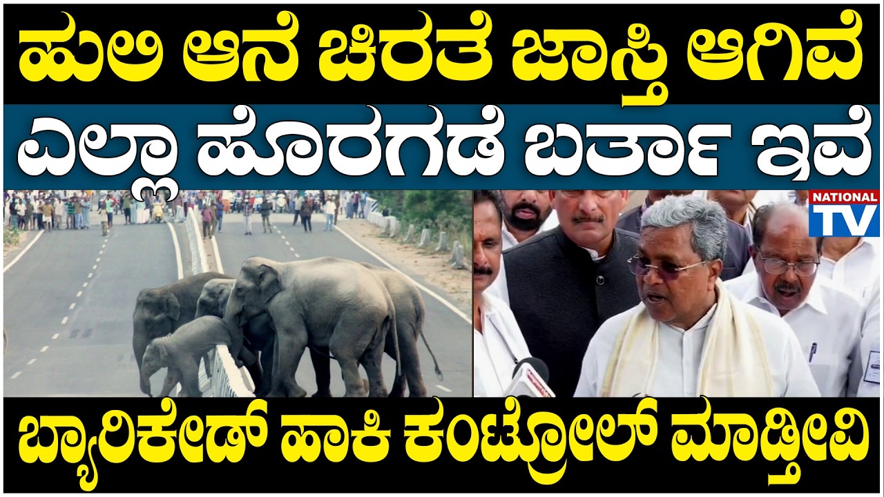 Siddaramaiah : ಹುಲಿ ಆನೆ ಚಿರತೆ ಜಾಸ್ತಿ ಆಗಿವೆ ಎಲ್ಲಾ ಹೊರಗಡೆ ಬರ್ತಾ ಇವೆ, ಬ್ಯಾರಿಕೇಡ್ ಹಾಕಿ ಕಂಟ್ರೋಲ್ ಮಾಡ್ತೀವಿ