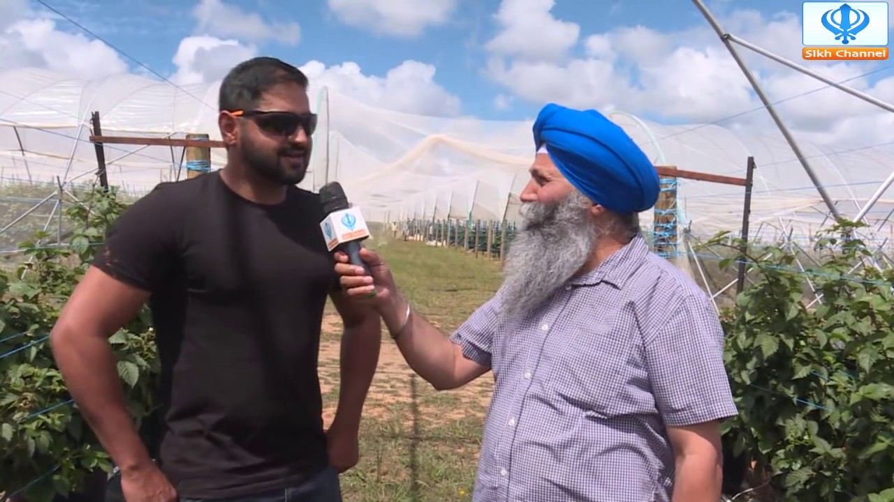 Sikh Channel Australia: Blackberry Farm, Woolgoolga