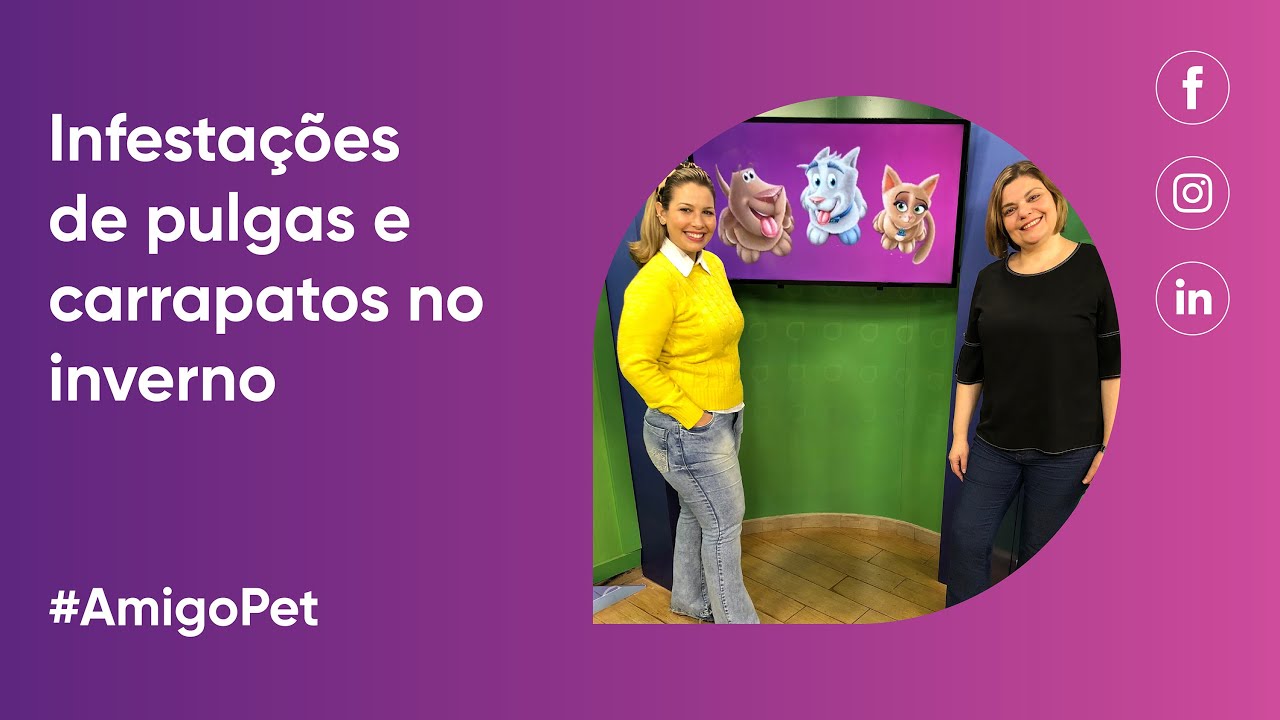 #AmigoPet - Importância de prevenir as infestações de pulgas e carrapatos no inverno