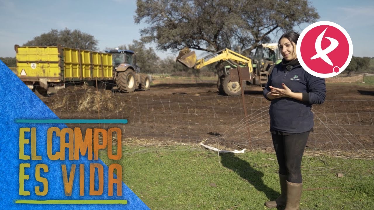 Chabeli se despide de la dehesa | El campo es vida