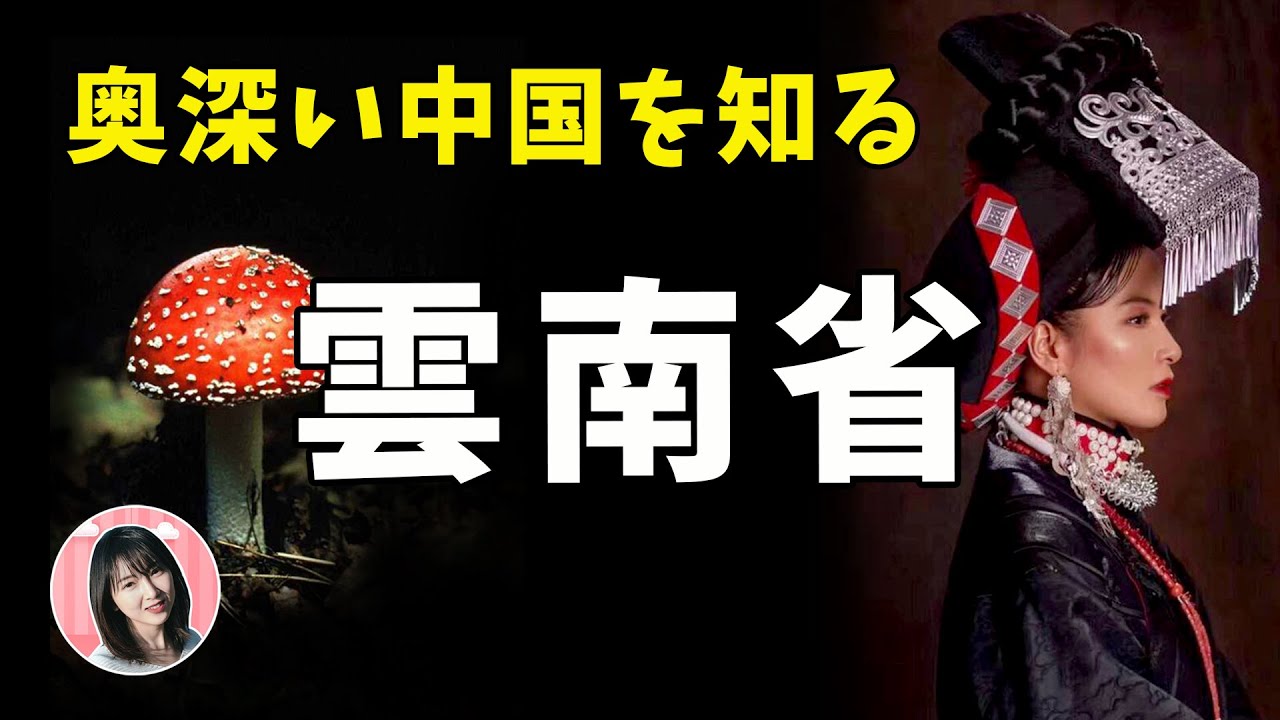 【雲南TALK】虫食い少数民族・松茸より幻のキノコ？秘境の桃源郷！奥深い中国を知る｜吃蘑菇看见小人人？你不知道的云南省~