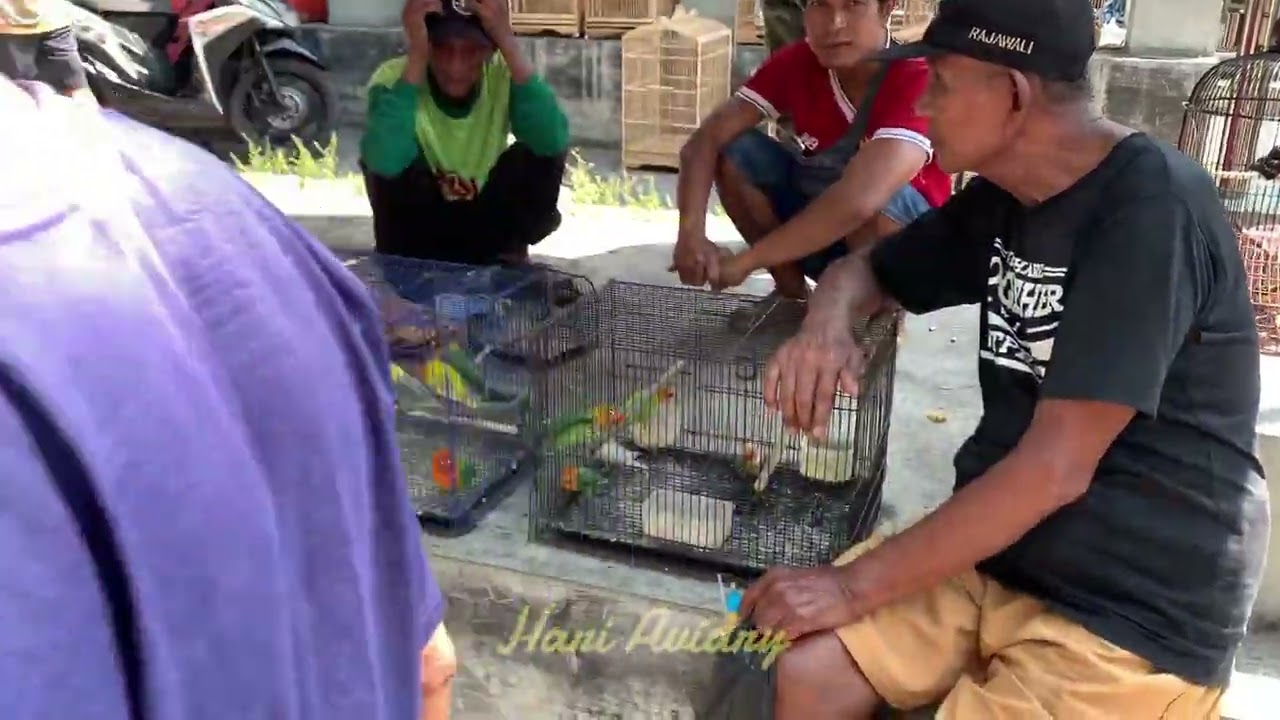 JALAN JALAN DI PASAR HEWAN GAWOK