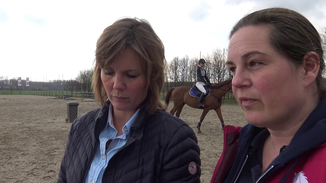 Taxeren van paarden hoe gaat dat? -Vereniging Eigen Paard-