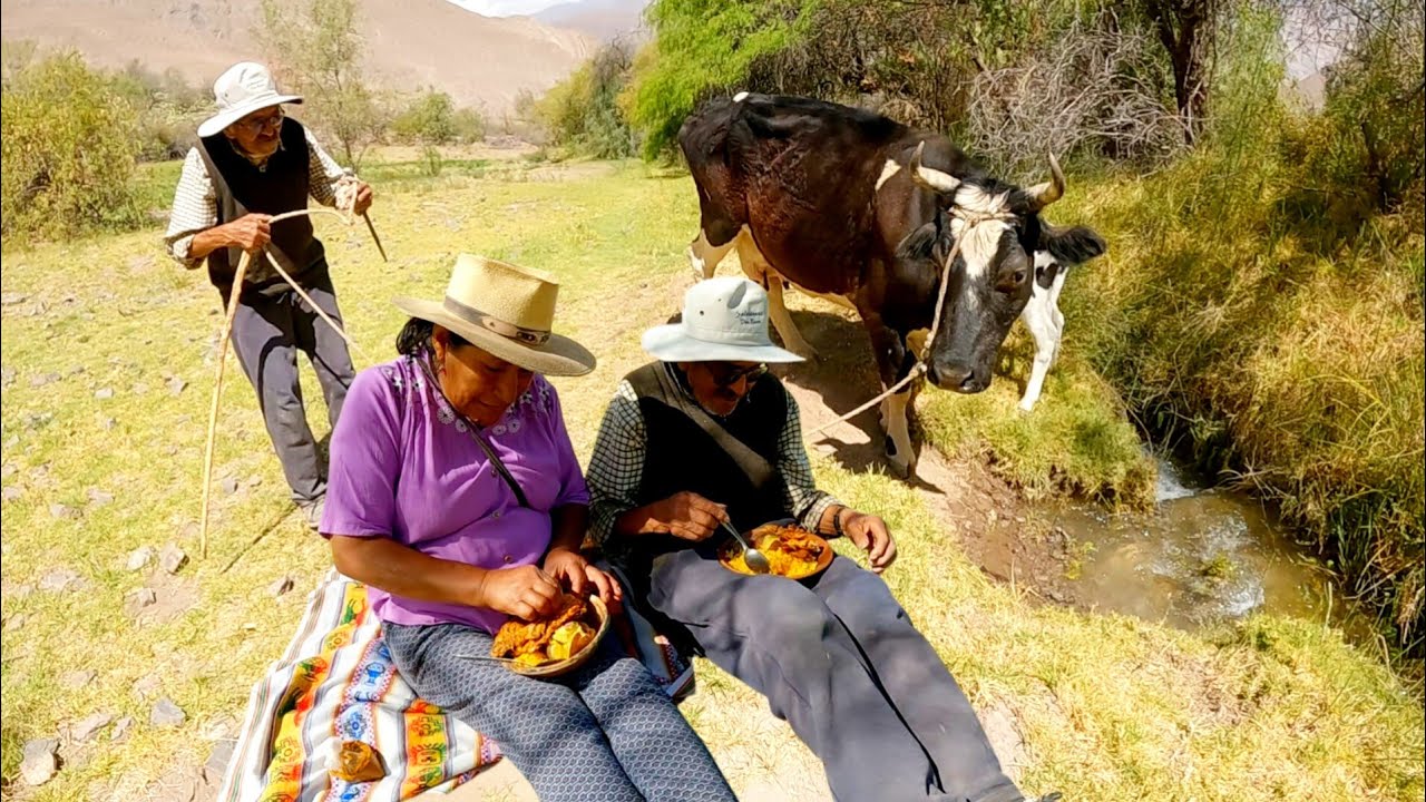 El TIO MAXIMO, A sus 95 años y sigue llevando a sus vaquitas al campo 😥
