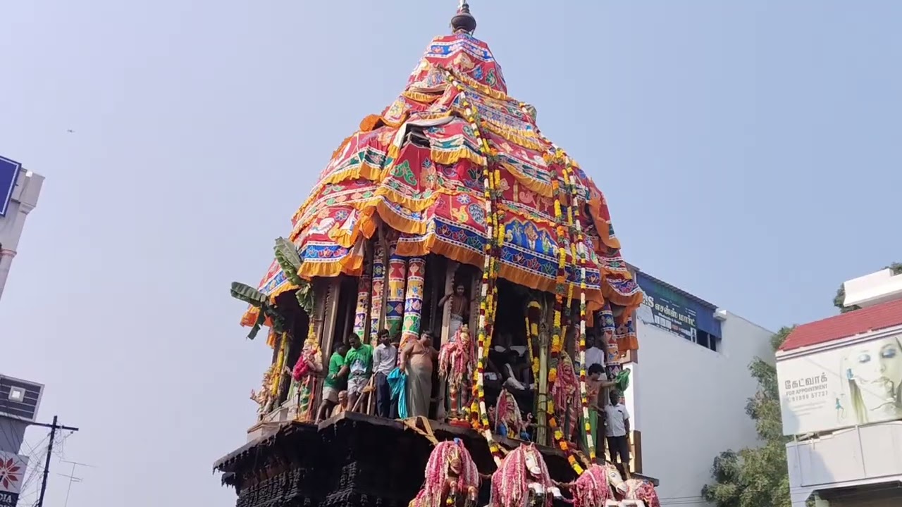 திருச்செந்தூர் மாசி திருவிழா தேரோட்டம்