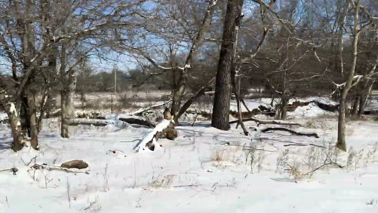 Place your bets. Will the quad make a trip through the snow to the creek without getting stuck??? 