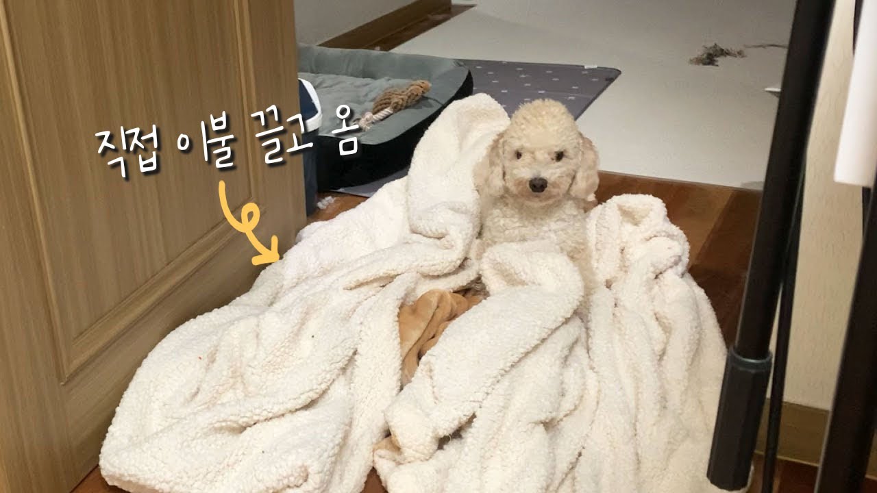 엄마랑 같이 잘래요