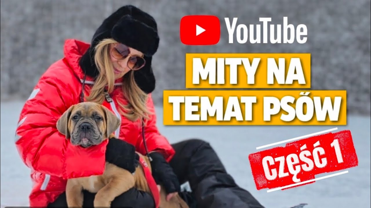 МИФ! Родословная только для нескольких щенков?! 😳 + Миф о «самом большом щенке первого поколения» 🙈