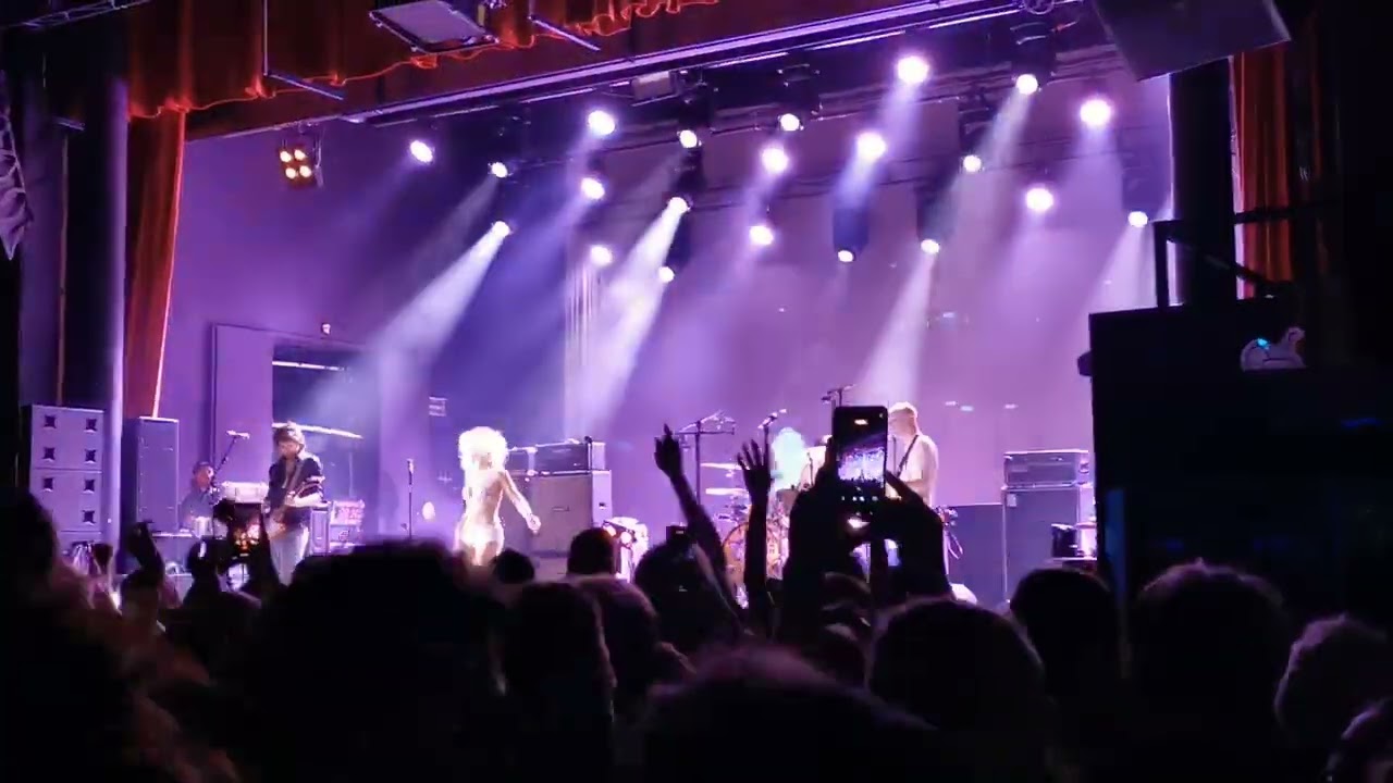 AMYL AND THE SNIFFERS 