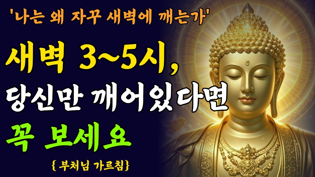 새벽 3시~5시, 당신이 자꾸 깨어나는 이유|부처님의 경고 | 불교 명언|스님 법문 | 인생 조언| 부처님 가르침