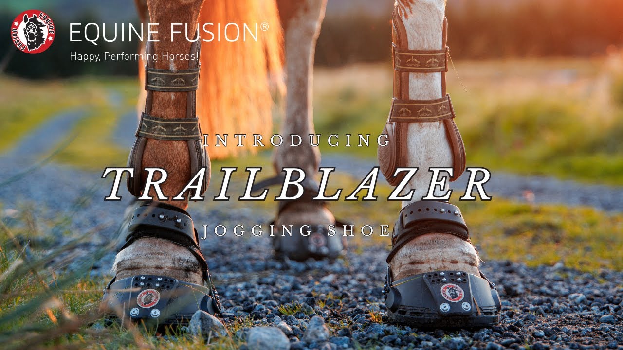 Trailblazer — A New Era Begins | Equine Fusion