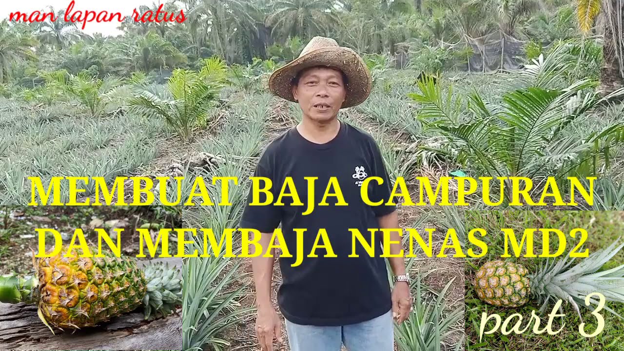 CARA MEMBUAT BAJA CAMPURAN DAN MEMBAJA NENAS MD2