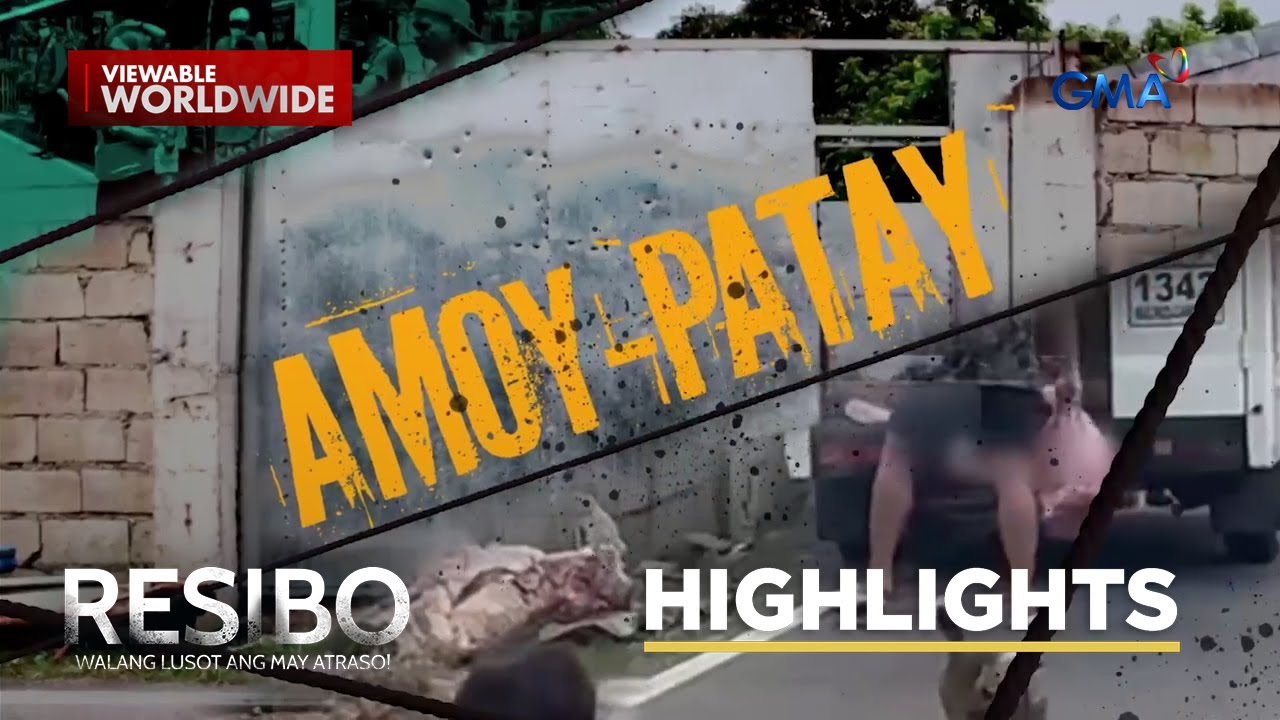 Masangsang na amoy na dulot umano ng mahigit 100 na alagang aso, inirereklamo! | Resibo